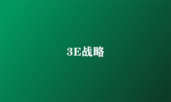 3E战略