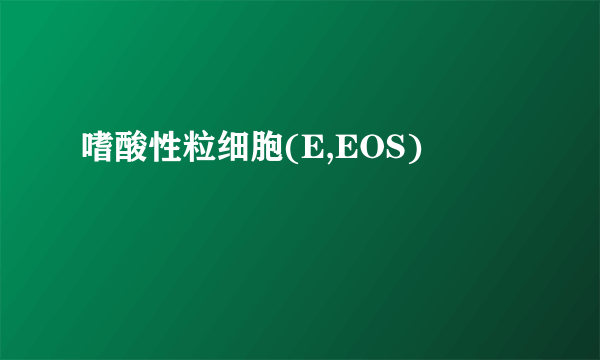 嗜酸性粒细胞(E,EOS)