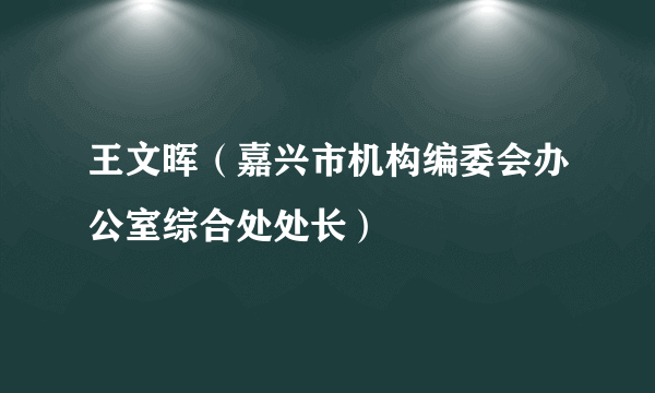 王文晖（嘉兴市机构编委会办公室综合处处长）