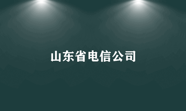 山东省电信公司