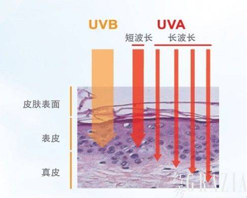 UVA/UVB