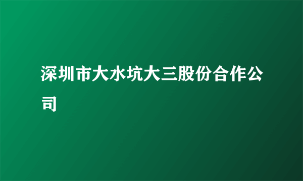 深圳市大水坑大三股份合作公司