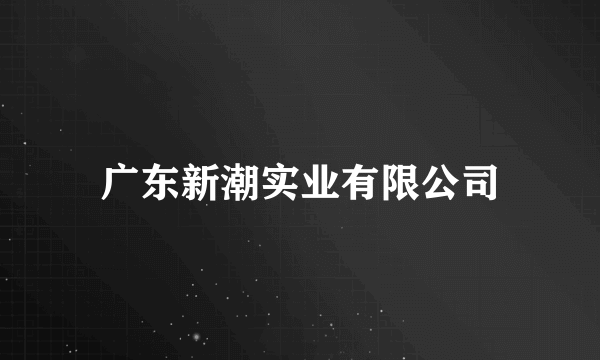 广东新潮实业有限公司