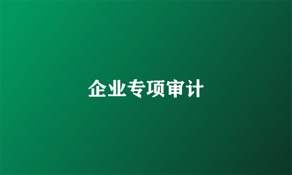 企业专项审计