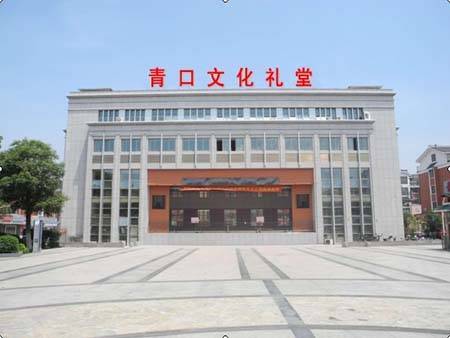 青口村（浙江省金华市义乌市江东街道下辖村）