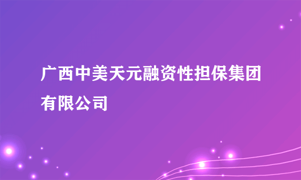 广西中美天元融资性担保集团有限公司