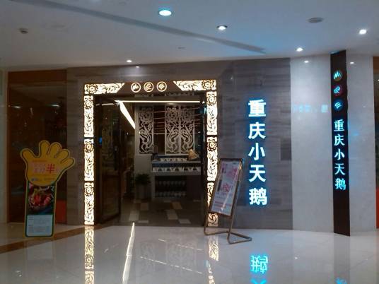 重庆小天鹅（财富中心店）