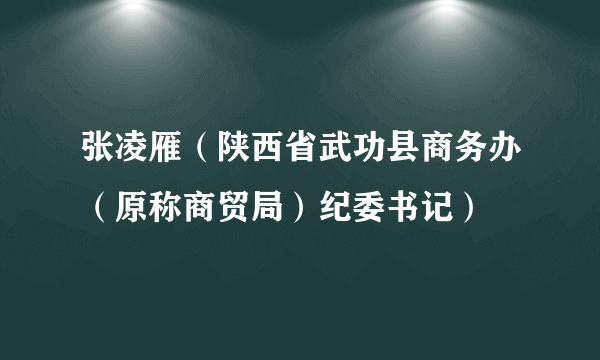 张凌雁（陕西省武功县商务办（原称商贸局）纪委书记）