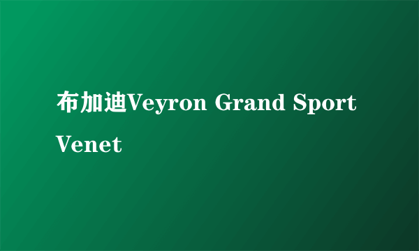 布加迪Veyron Grand Sport Venet