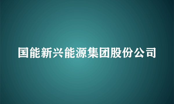 国能新兴能源集团股份公司