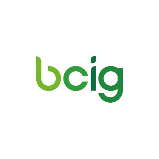 BCI Group