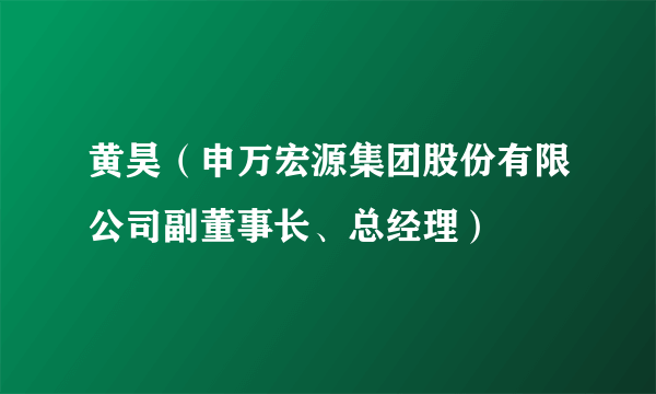 黄昊（申万宏源集团股份有限公司副董事长、总经理）