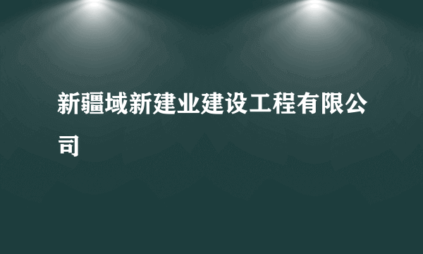 新疆域新建业建设工程有限公司