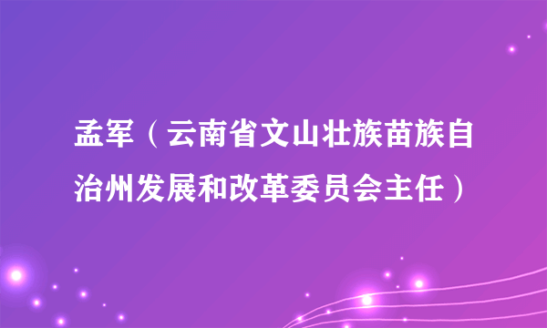 孟军（云南省文山壮族苗族自治州发展和改革委员会主任）