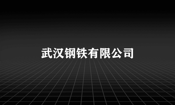 武汉钢铁有限公司