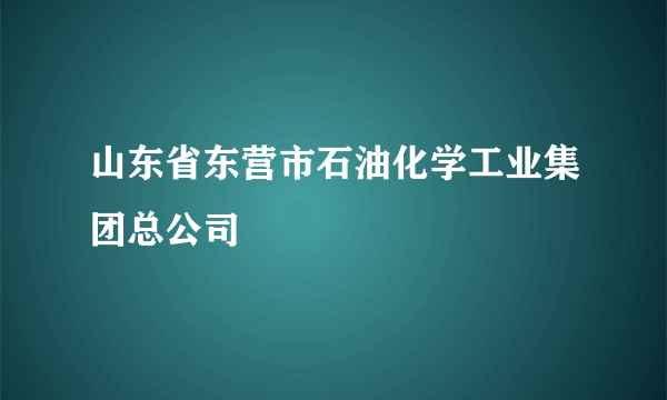 山东省东营市石油化学工业集团总公司