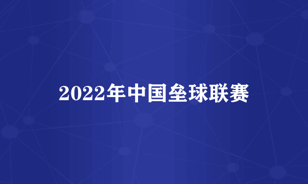 2022年中国垒球联赛