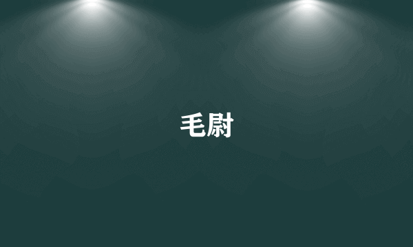 毛尉