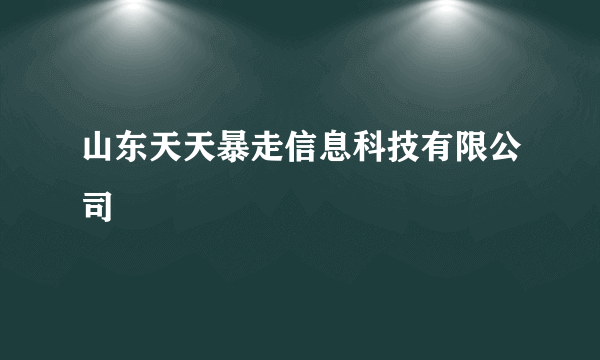 山东天天暴走信息科技有限公司