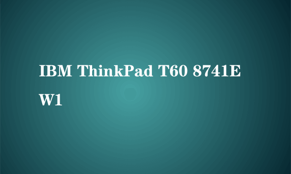 IBM ThinkPad T60 8741EW1