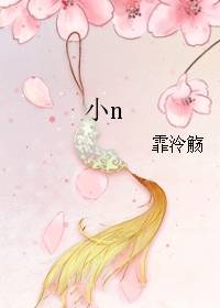 小n（霏泠觞创作的言情类网络小说）