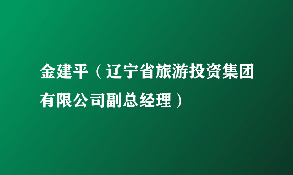 金建平（辽宁省旅游投资集团有限公司副总经理）