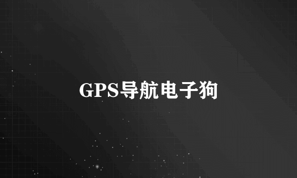 GPS导航电子狗