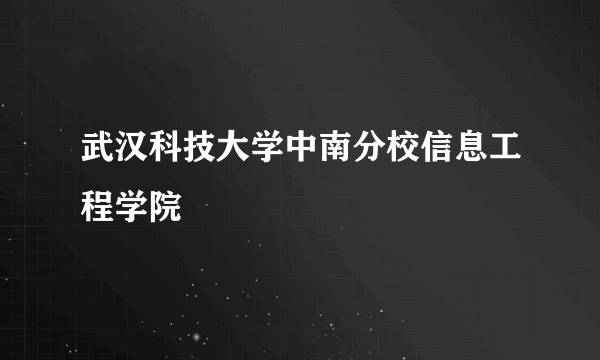 武汉科技大学中南分校信息工程学院