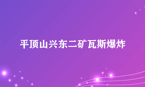 平顶山兴东二矿瓦斯爆炸