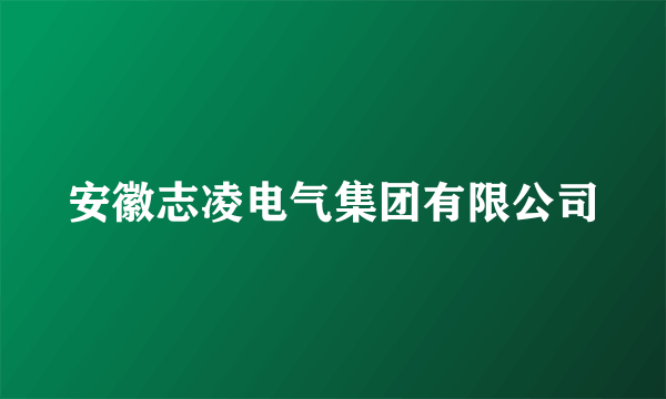 安徽志凌电气集团有限公司