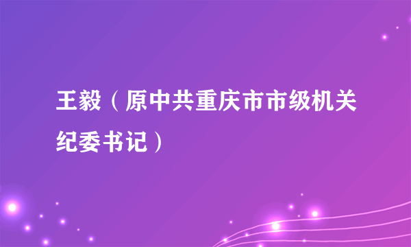 王毅（原中共重庆市市级机关纪委书记）