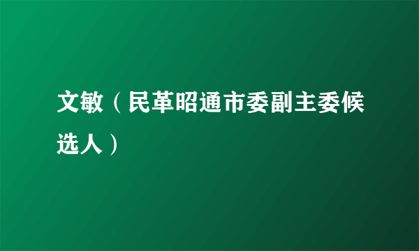 文敏（民革昭通市委副主委候选人）