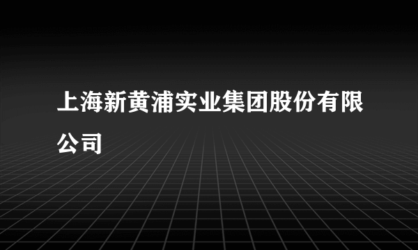 上海新黄浦实业集团股份有限公司