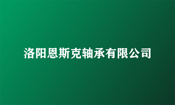 洛阳恩斯克轴承有限公司