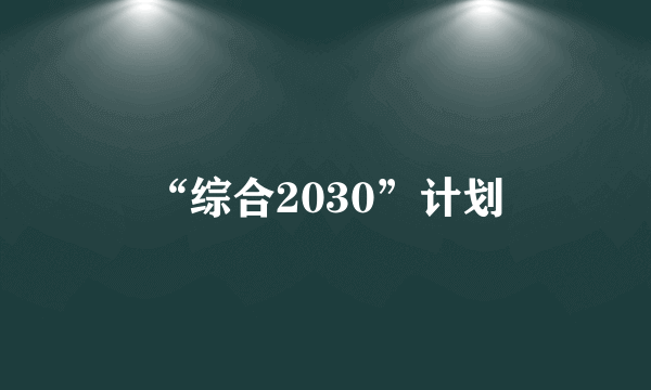 “综合2030”计划