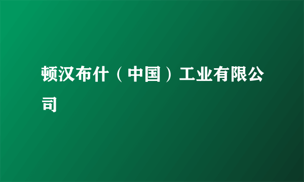 顿汉布什（中国）工业有限公司