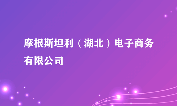 摩根斯坦利（湖北）电子商务有限公司