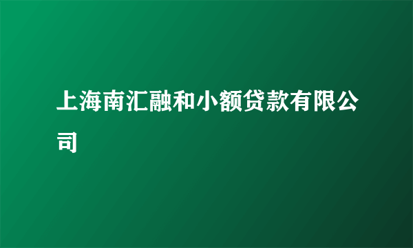 上海南汇融和小额贷款有限公司