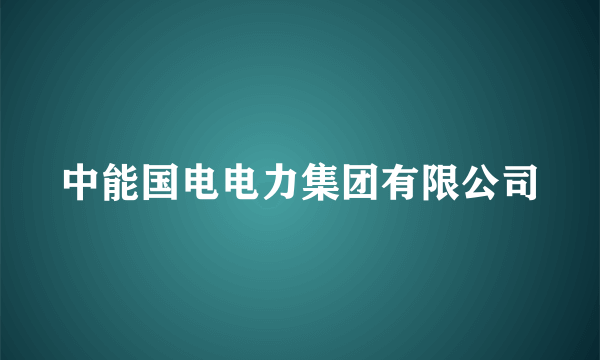 中能国电电力集团有限公司