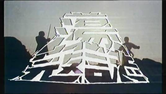 荡寇志（1981年潘志文、岳华主演的电视剧）