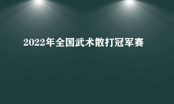 2022年全国武术散打冠军赛