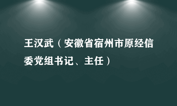 王汉武（安徽省宿州市原经信委党组书记、主任）