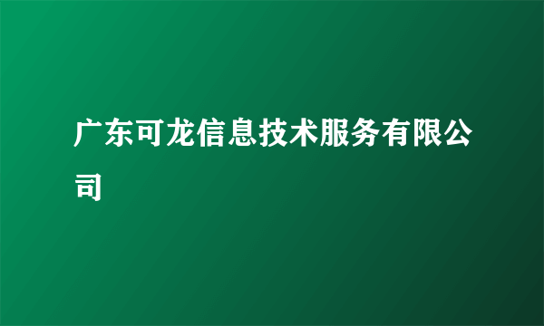 广东可龙信息技术服务有限公司