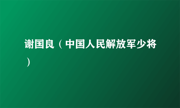 谢国良（中国人民解放军少将）