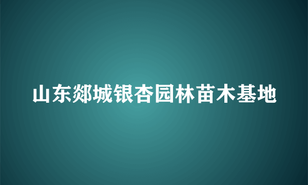 山东郯城银杏园林苗木基地