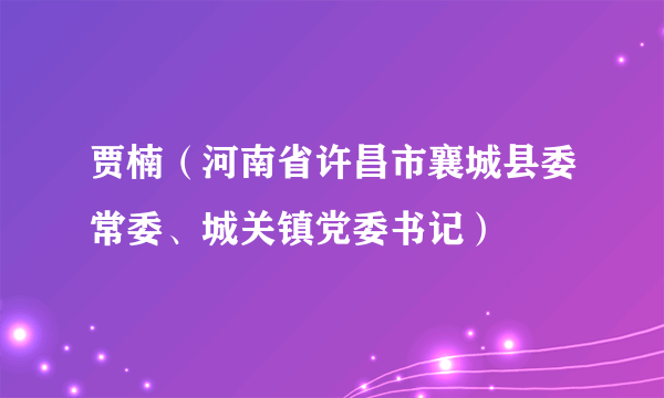 贾楠（河南省许昌市襄城县委常委、城关镇党委书记）