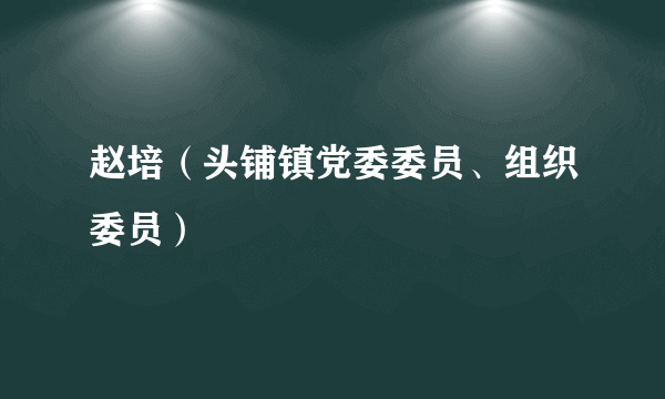 赵培（头铺镇党委委员、组织委员）