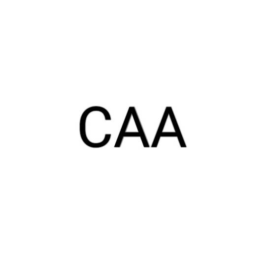 CAA（计算机辅助分析）