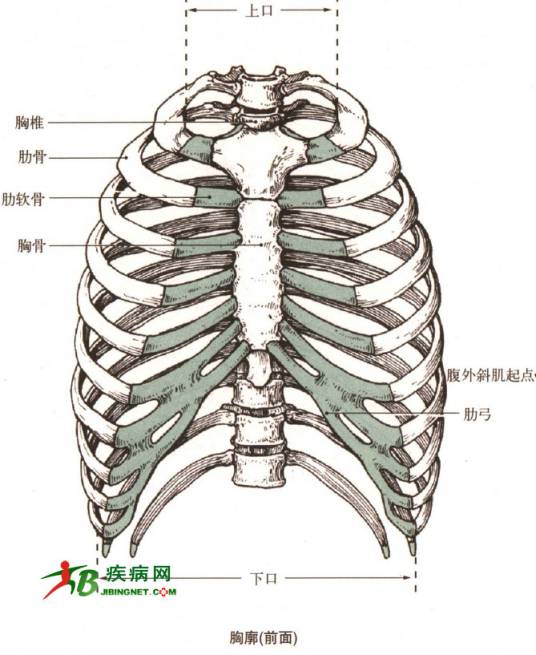 骨质癌