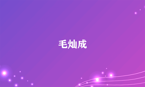 毛灿成